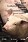 Profilaktyka swoista i terapia chorób zakaźnych świń