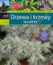 Drzewa i krzewy iglaste