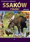 Ilustrowana encyklopedia ssaków Polski