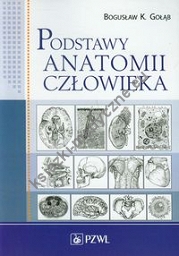 Podstawy anatomii człowieka