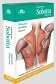 Anatomia Sobotta Flashcards Mięśnie Łacińskie mianownictwo anatomiczne