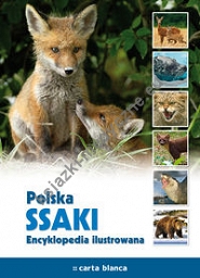 Polska Ssaki Encyklopedia ilustrowana