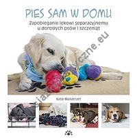 Pies sam w domu