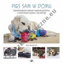 Pies sam w domu