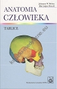 Anatomia człowieka Tablice 