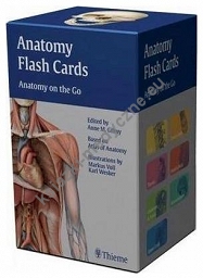 Anatomy Flash Cards  Prometheus/ Gilroy/ Thieme atlas of Anatomy