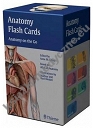 Anatomy Flash Cards  Prometheus/ Gilroy/ Thieme atlas of Anatomy