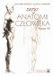 Zarys anatomii człowieka