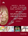 Atlas neuroanatomii i neurofizjologii Nettera