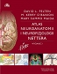 Atlas neuroanatomii i neurofizjologii Nettera