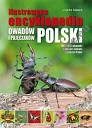 Ilustrowana encyklopedia owadów i pajęczaków