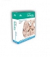 Anatomia Sobotta Flashcards. Neuroanatomia. Angielskie mianownictwo anatomiczne