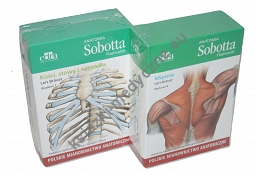 ZESTAW Anatomia Sobotta Flashcards Mięśnie + Kości stawy i więzadła - Polskie mianownictwo anatomiczne