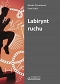 Labirynt ruchu