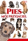 Pies mój przyjaciel