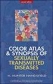 Color Atlas & Synopsis of Sexually Transmitted Diseases