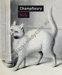 Koty