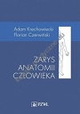 Zarys anatomii człowieka