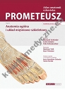 Prometeusz Atlas Anatomii Człowieka. Nomenklatura Angielska Tom 1