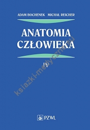 Anatomia człowieka Tom 4