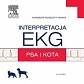 Interpretacja EKG psa i kota