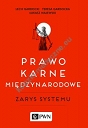 Prawo karne międzynarodowe