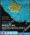 Medical Microbiology  24e