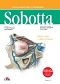 Atlas anatomii człowieka Sobotta. Angielskie mianownictwo. Tom 3