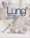 Lung Development Aging & Enviroment