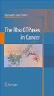 Rho GTPases in Cancer