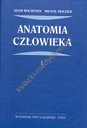 Anatomia człowieka Tom 1