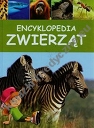 Encyklopedia zwierząt