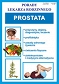 Prostata