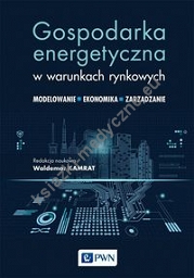 Gospodarka energetyczna w warunkach rynkowych