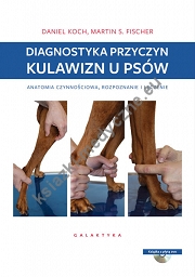 Diagnostyka przyczyn kulawizn u psów