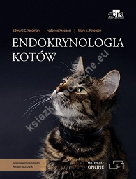 Endokrynologia kotów