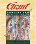 Atlas anatomii Granta