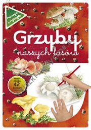 Grzyby naszych lasów