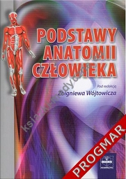 Podstawy anatomii człowieka