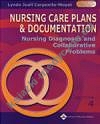 Nursing Care Plans Documentation