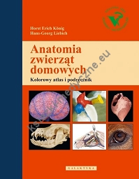 Anatomia zwierząt domowych