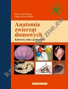 Anatomia zwierząt domowych