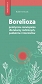 Borelioza - praktyczne rozwiązania, dla lekarzy rodzinnych, pediatrów i internistów