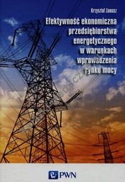 Efektywność ekonomiczna przedsiębiorstwa energetycznego w warunkach wprowadzenia rynku mocy