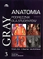 Gray Anatomia Podręcznik dla studentów Tom 3
