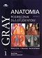 Gray Anatomia Podręcznik dla studentów Tom 1