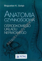 Anatomia czynnościowa ośrodkowego układu nerwowego