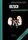 Anatomia Prawidłowa Człowieka Brzuch