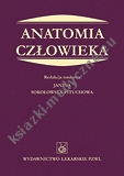 Anatomia człowieka - Sokołowska