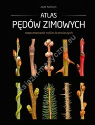 Atlas pędów zimowych